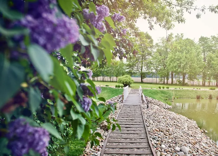 Dwor Niemierzyce Hotel